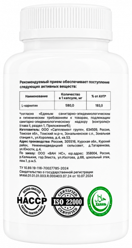 One NS L-carnitine, L-карнитин, 90 капсул